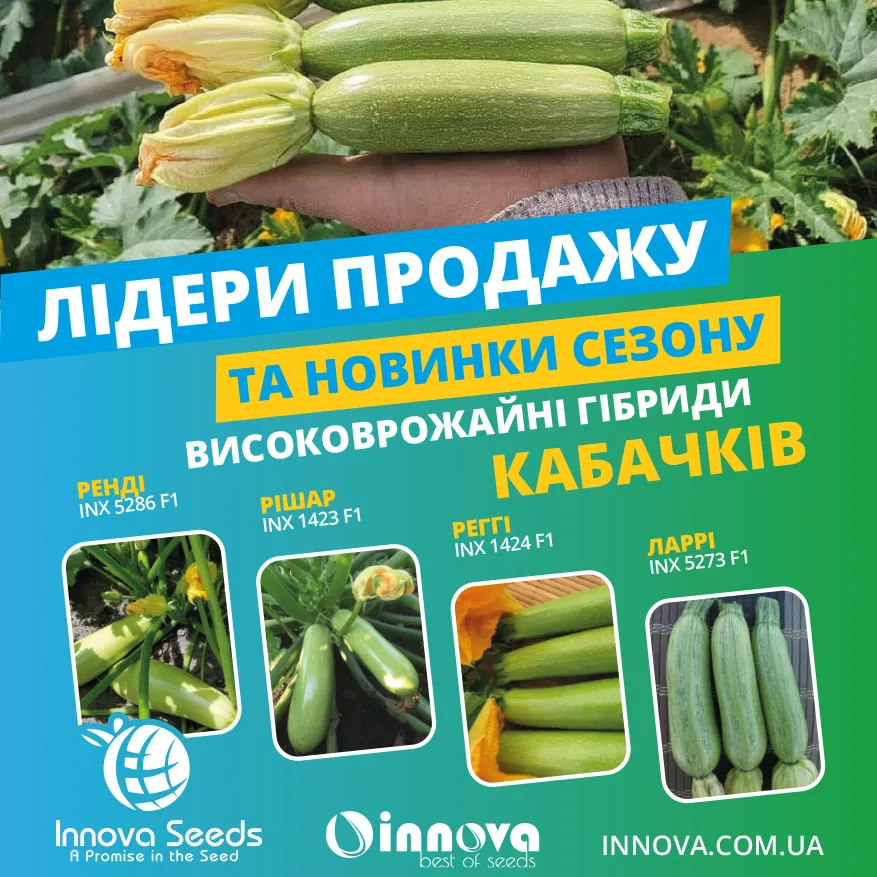 Схемы подкормки кабачков