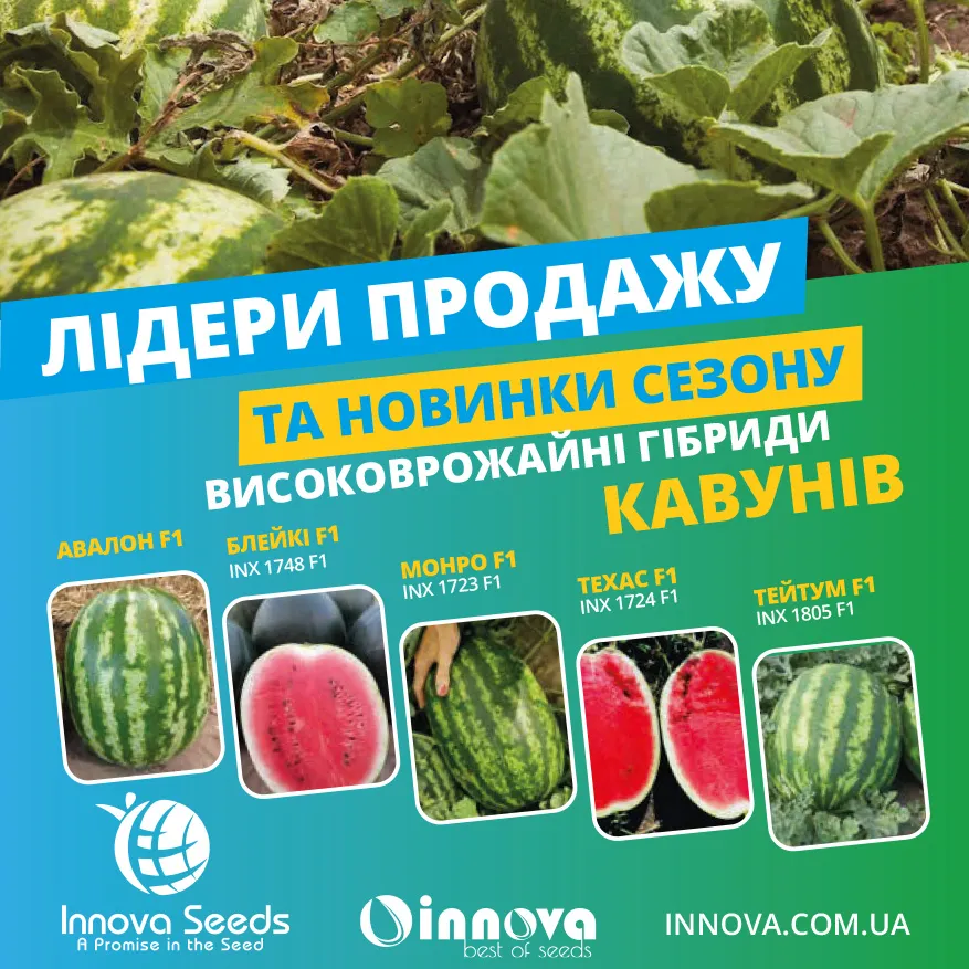 Схемы подпитки арбузов