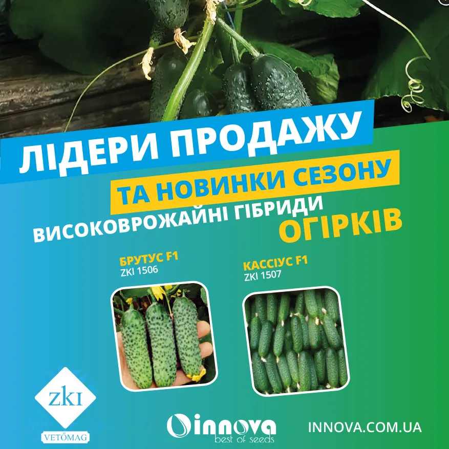 Схемы подкормки огурцов