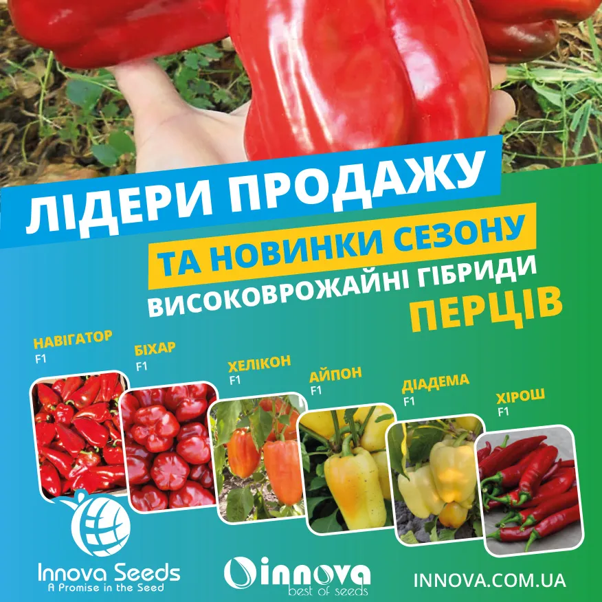 Схемы подкормки перцев