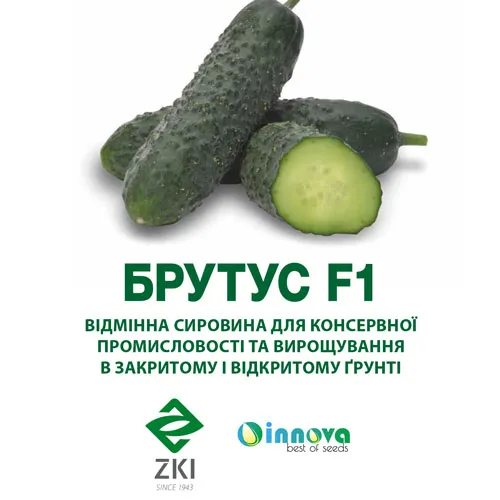 Огурец Брутус