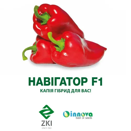 Перец Навигатор