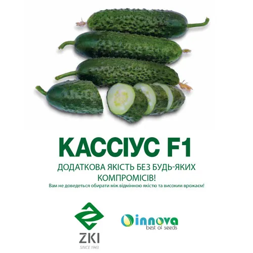 Огурец Кассиус