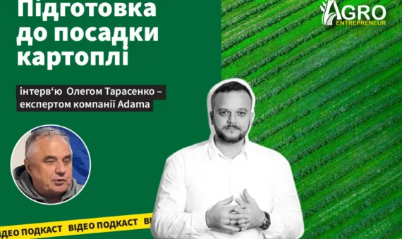 Відео-подкаст: Підготовка до посадки картоплі – вирішальний етап, від якого залежить майбутній урожай.