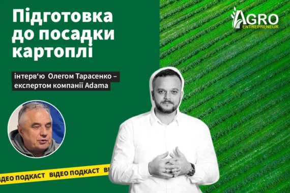 Відео-подкаст: Підготовка до посадки картоплі – вирішальний етап, від якого залежить майбутній урожай.