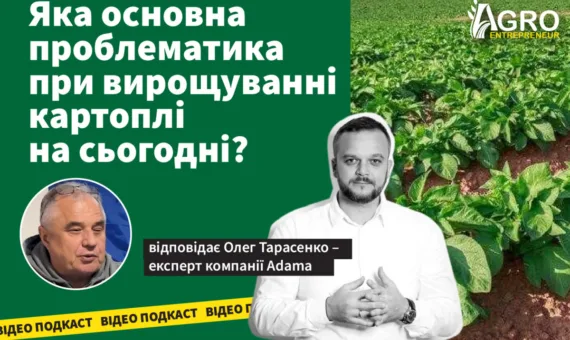 Відео-подкаст: Яка основна проблематика при вирощуванні картоплі на сьогодні?